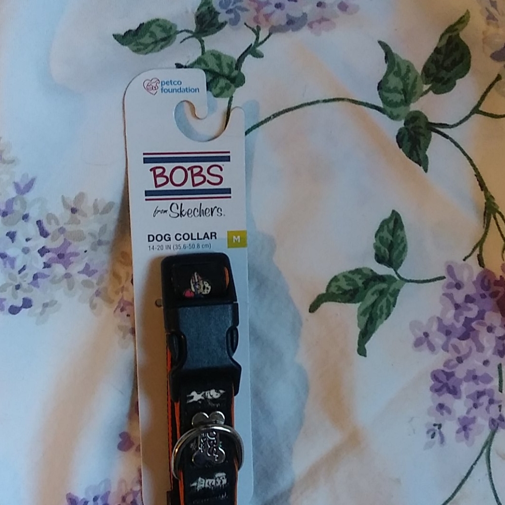 (M) Dog Collar